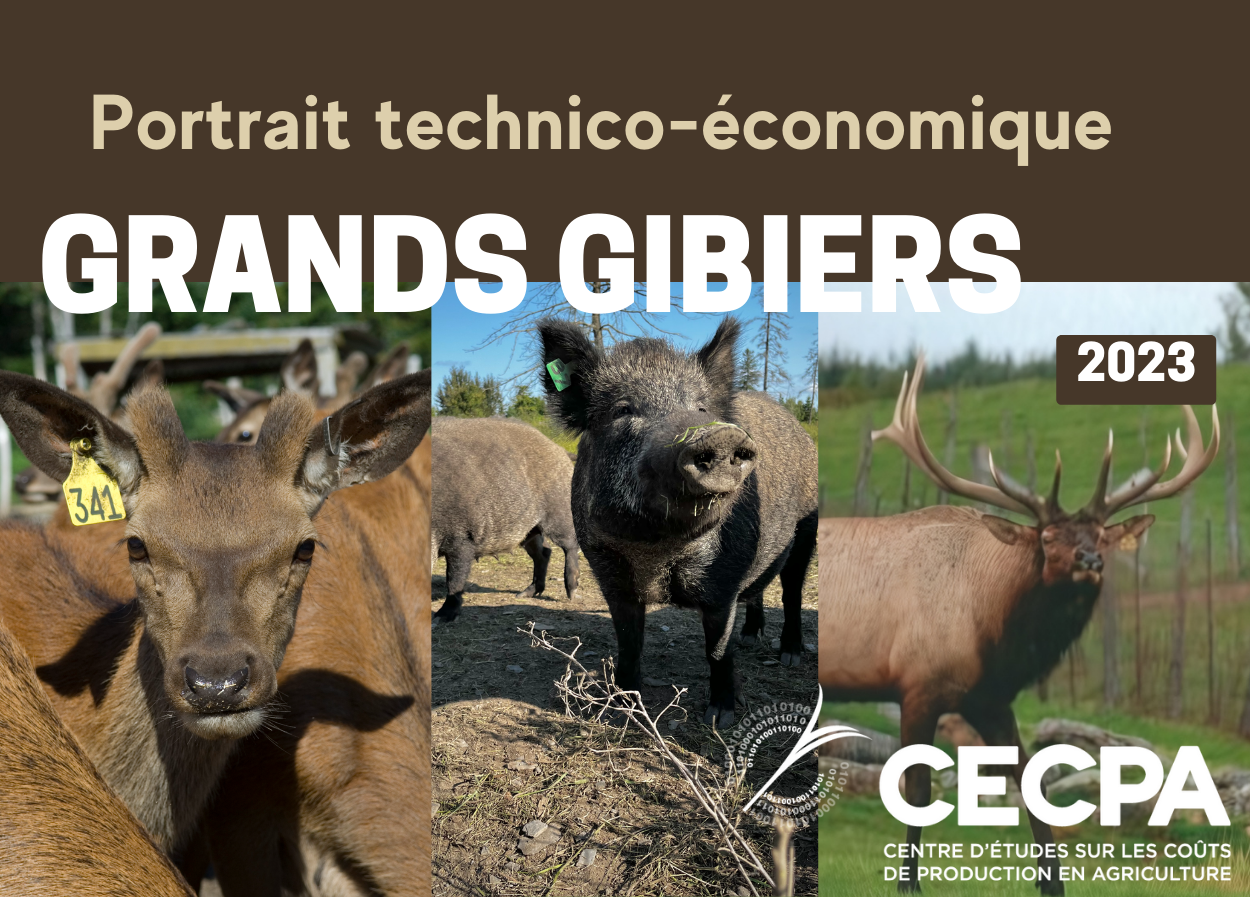 Études de coûts de production : PORTRAIT TECHNICO-ÉCONOMIQUE -GRANDS GIBIERS 2023
